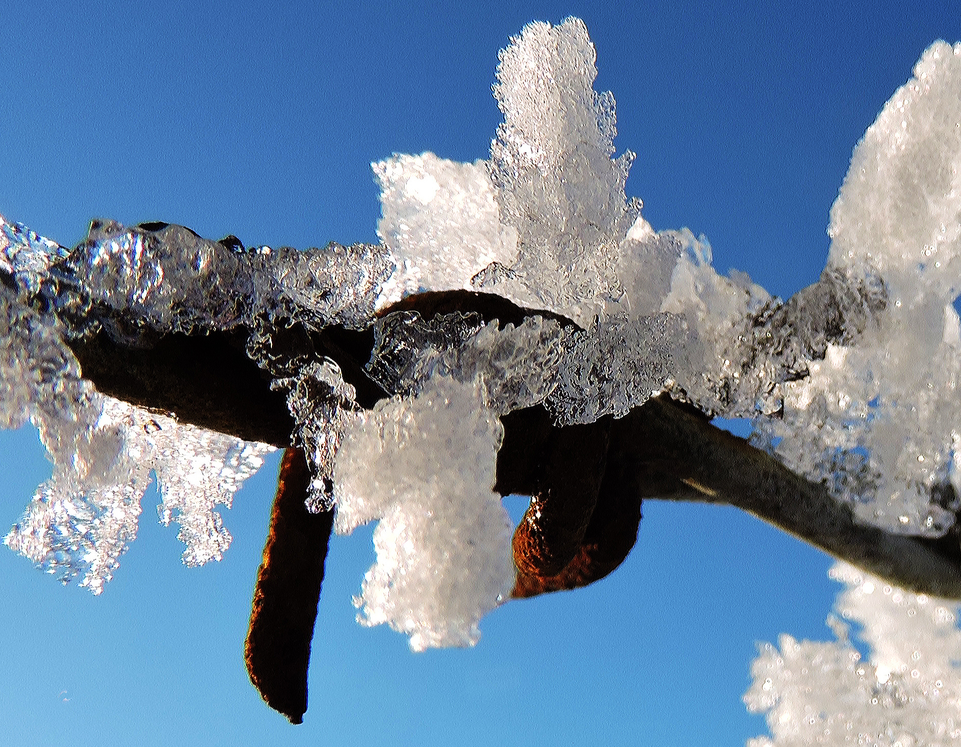 FROSTED WIRE Bill Bagley Photography